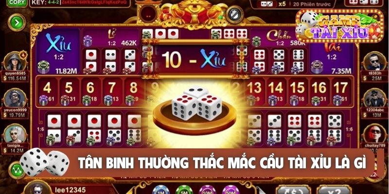 Nhiều tân binh thường thắc mắc cầu tài xỉu là gì
