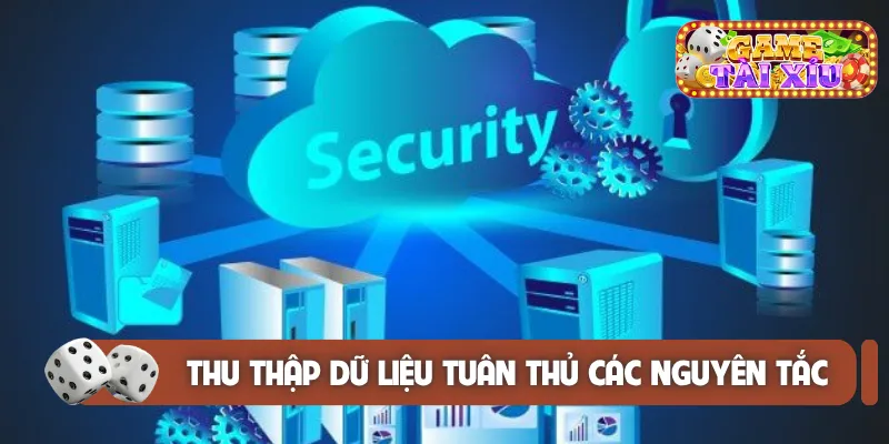 Thu thập dữ liệu tuân thủ các nguyên tắc